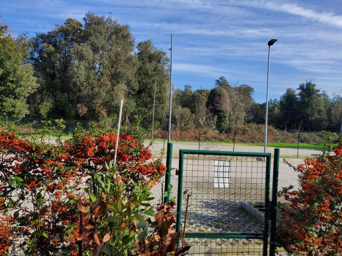 Appartamento 9 Residance Piviere Calambrone Kültér fotó